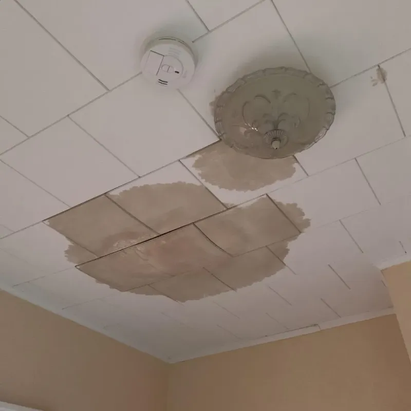 Ceiling Water Damage Repair in Prentiss County, MS