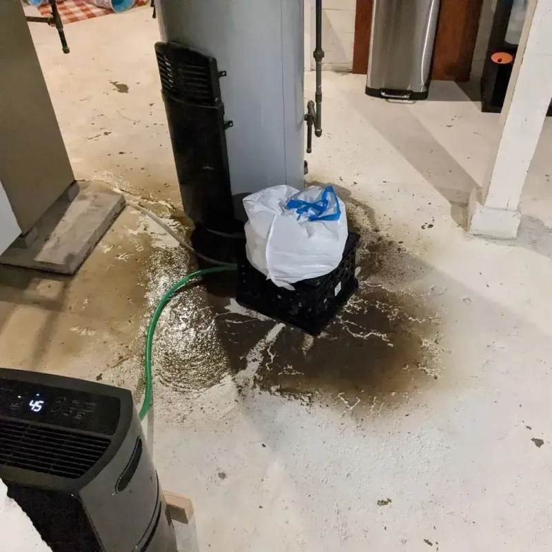 Sewage Backup Cleanup Service in Prentiss County, MS